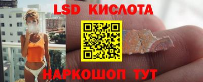 амф Гусев